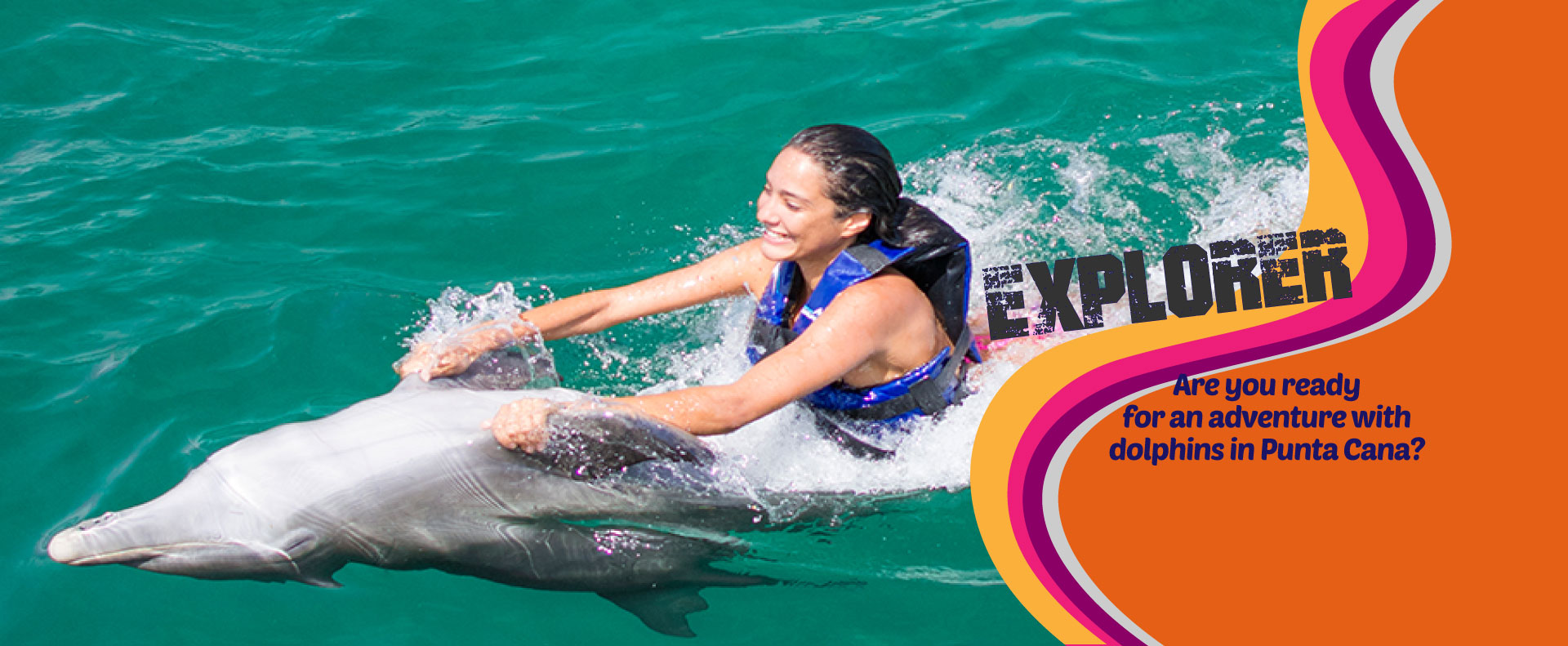 Dolphin Explorer Explore and discover the