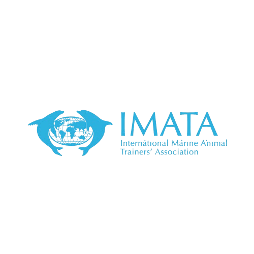 IMATA